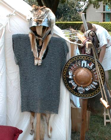 This hamata, or Roman mail was in use both before and after the appearance of the segmented lorica. As it is illegal to own a wolf skin in California, the coyote skin is worn on the signifer, or standard - bearer's helmet.